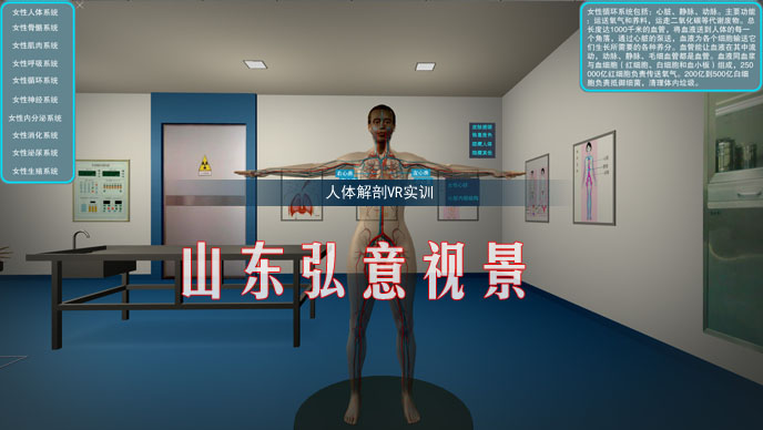 隧道施工法VR