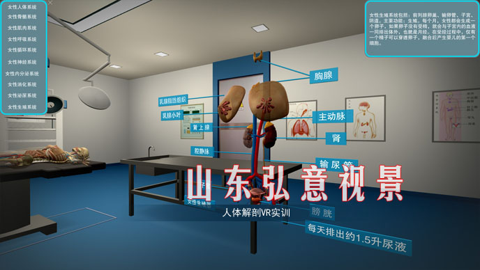 隧道施工法VR